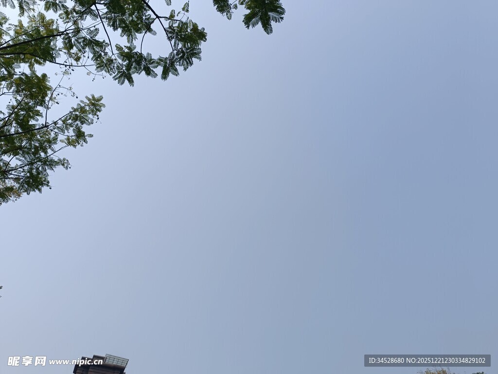 蓝天绿树间的景致