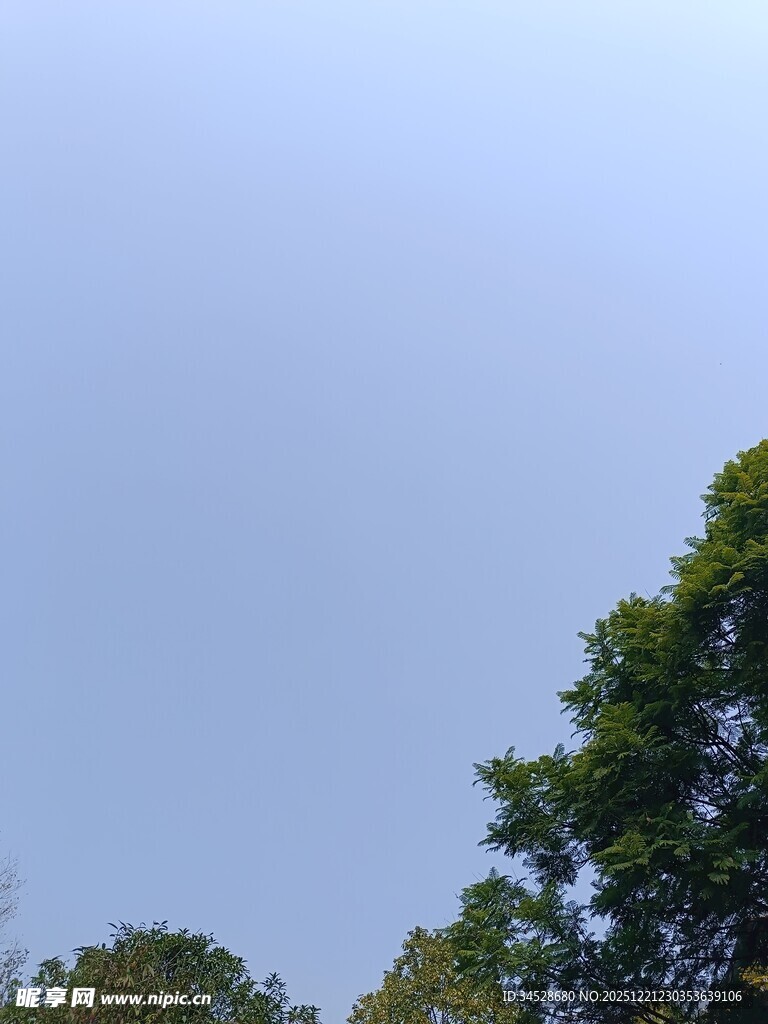 蓝天绿树自然风景