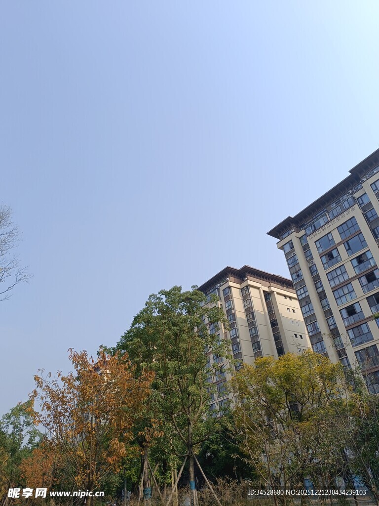 秋日小区旁的建筑与树木