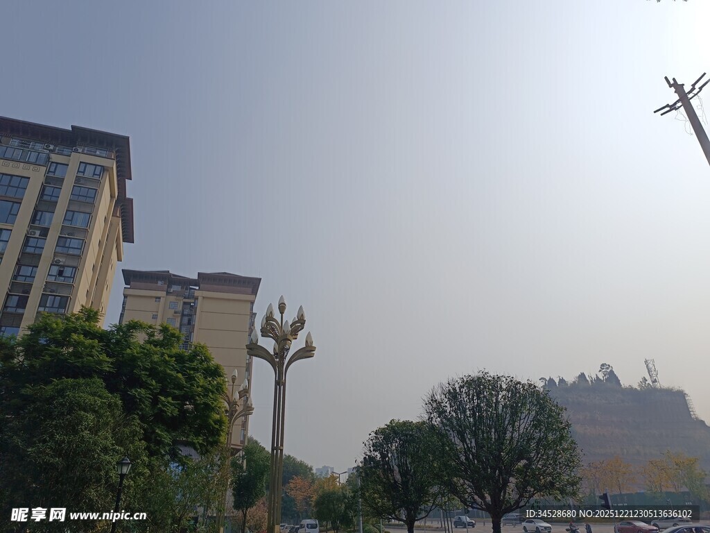 城市中阳光下的建筑与树木