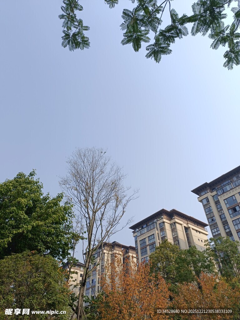 小区周边绿植与建筑景观