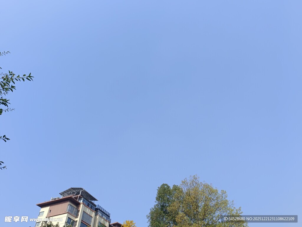 蓝天绿树间的别致建筑