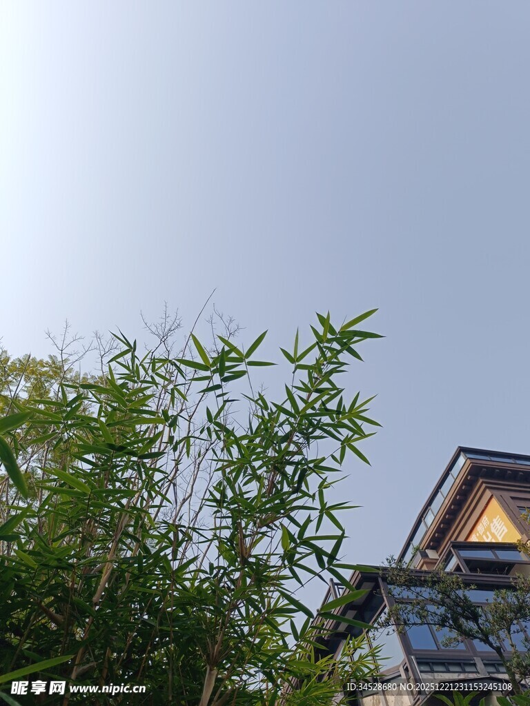 竹林旁的特色建筑