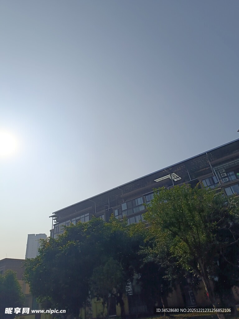 阳光下的建筑与绿植