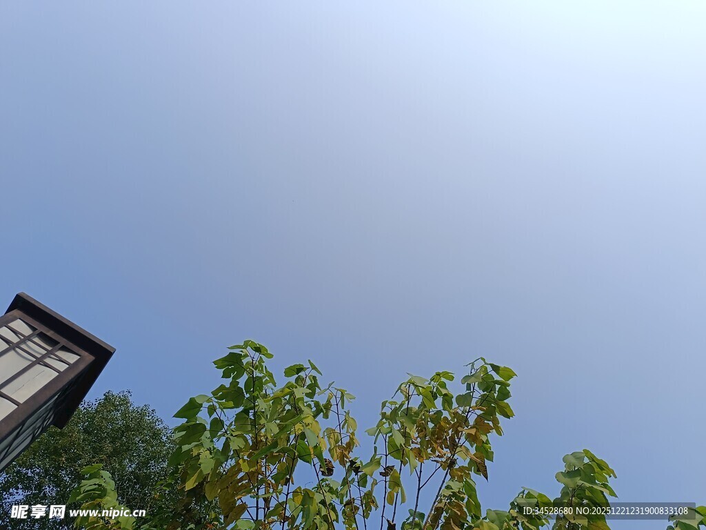 蓝天绿树旁的建筑一角