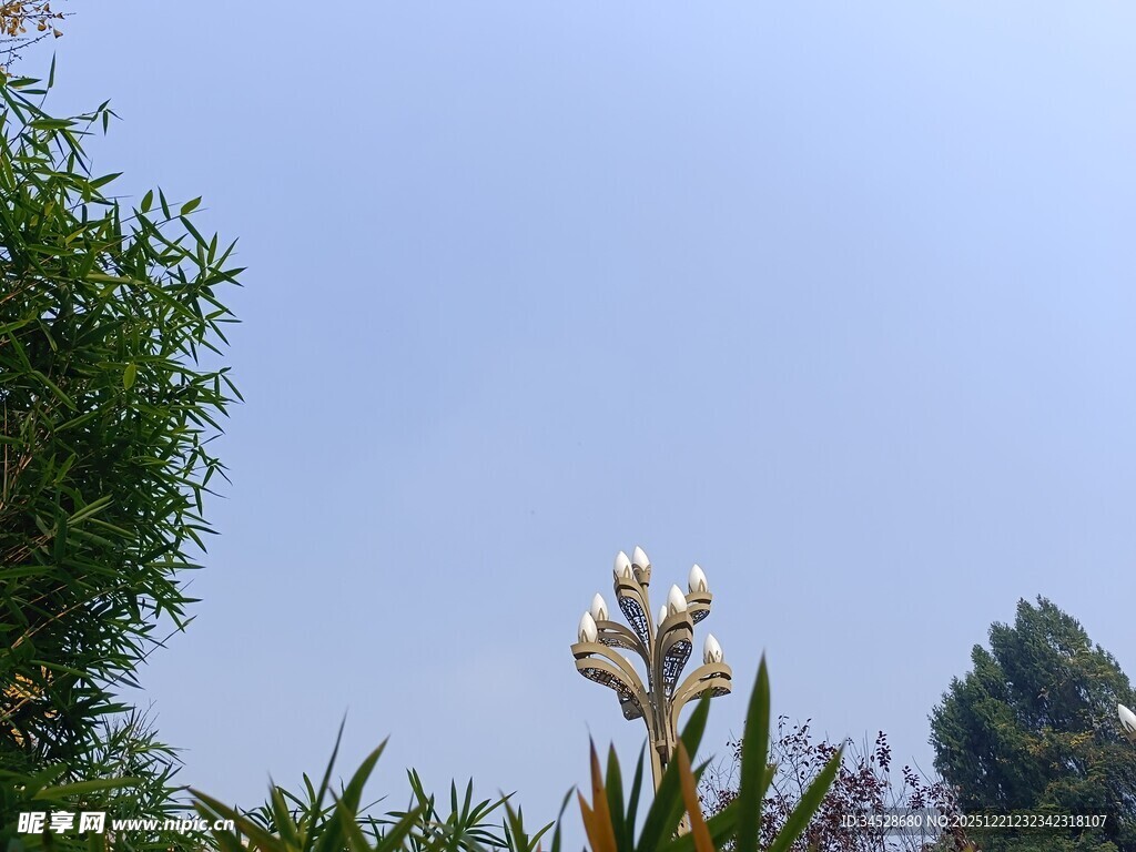 蓝天繁花绿植自然景致