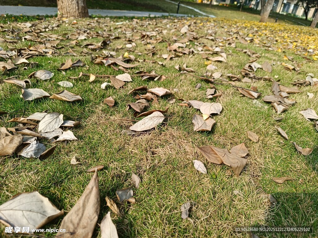 草地上散落的破碎石块