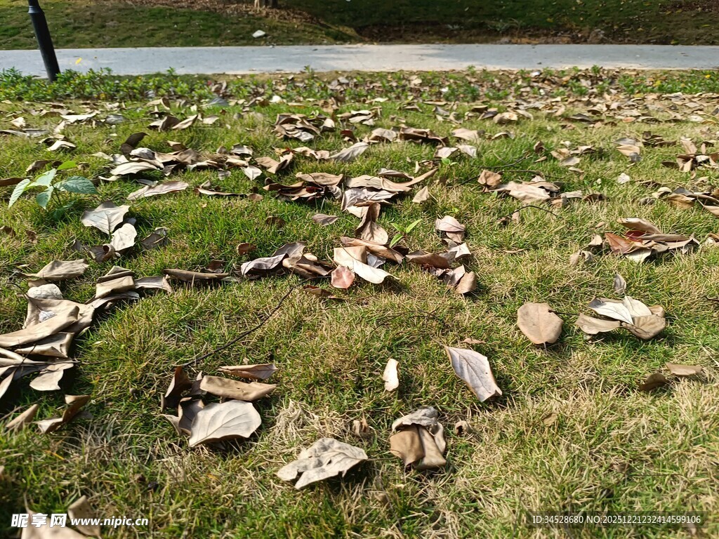 草地上的破碎瓦砾