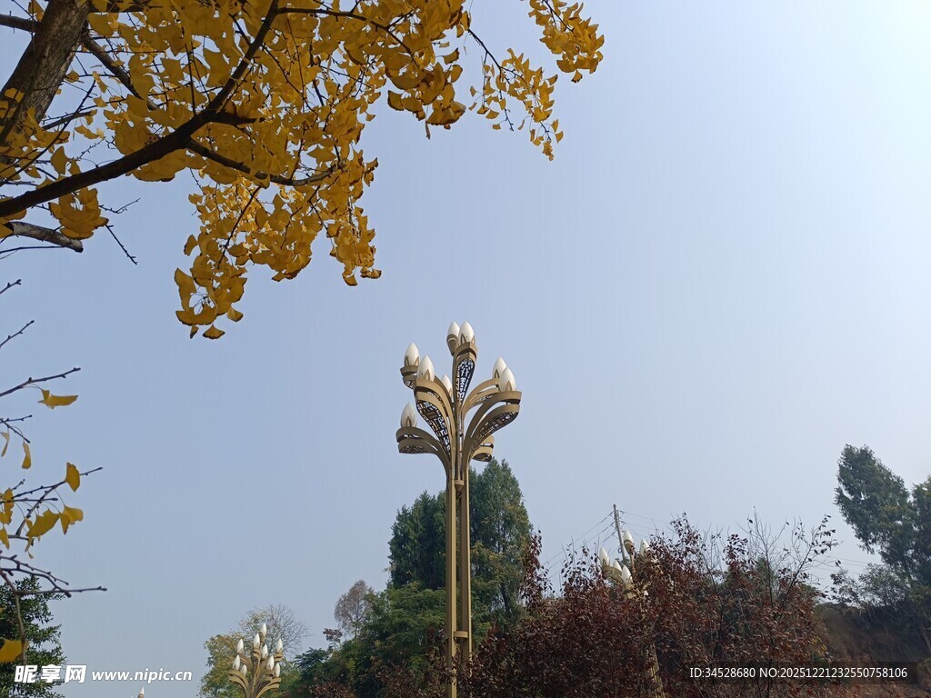 秋日风光中的独特路灯