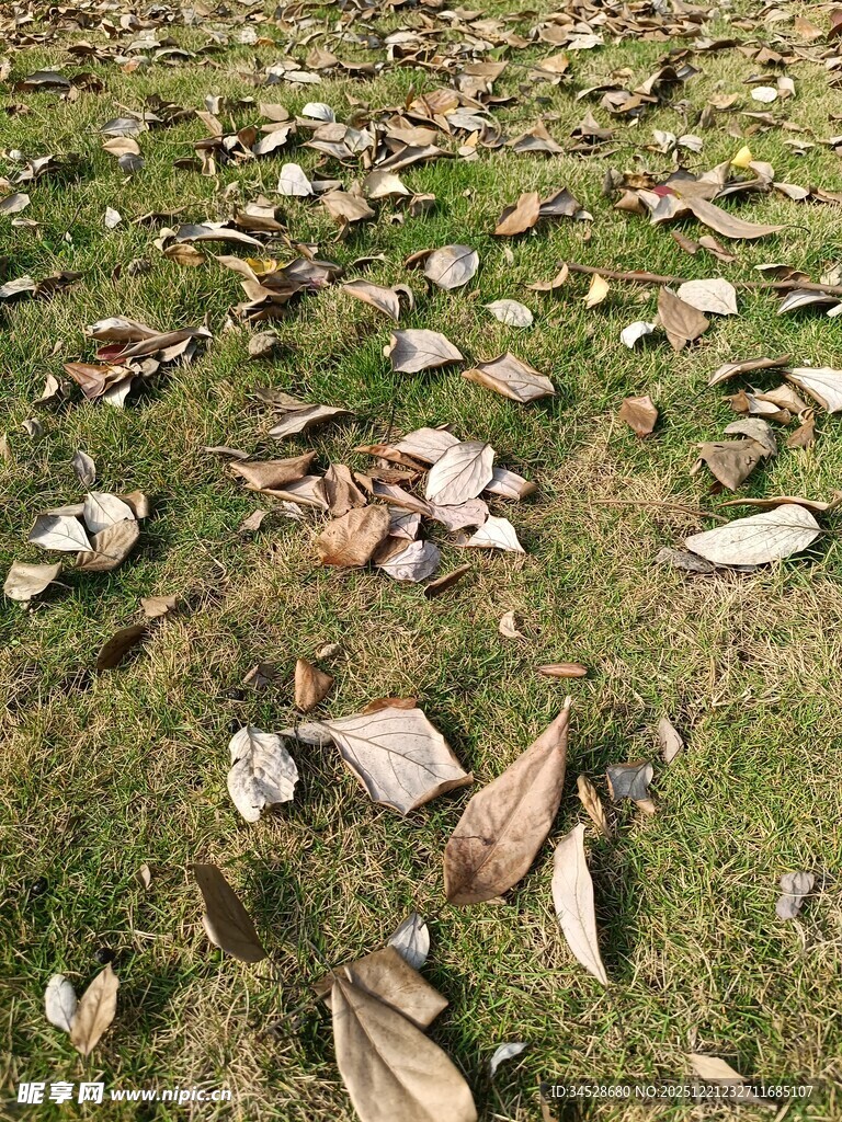 草地上的破碎物品