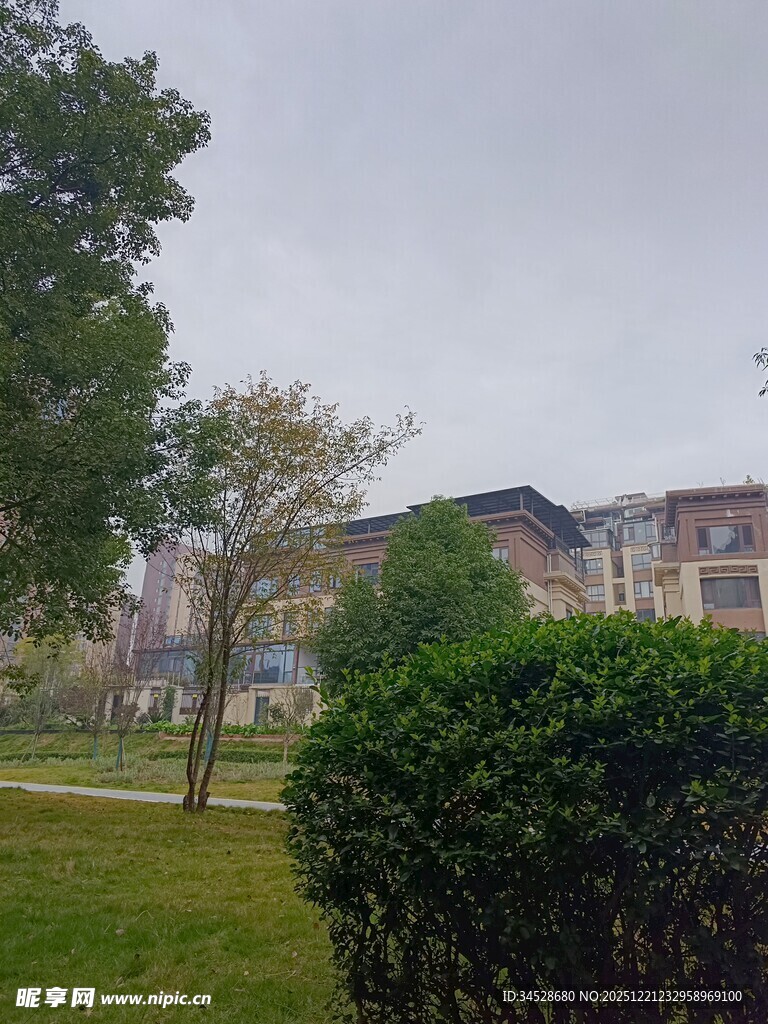 户外绿植与建筑景观