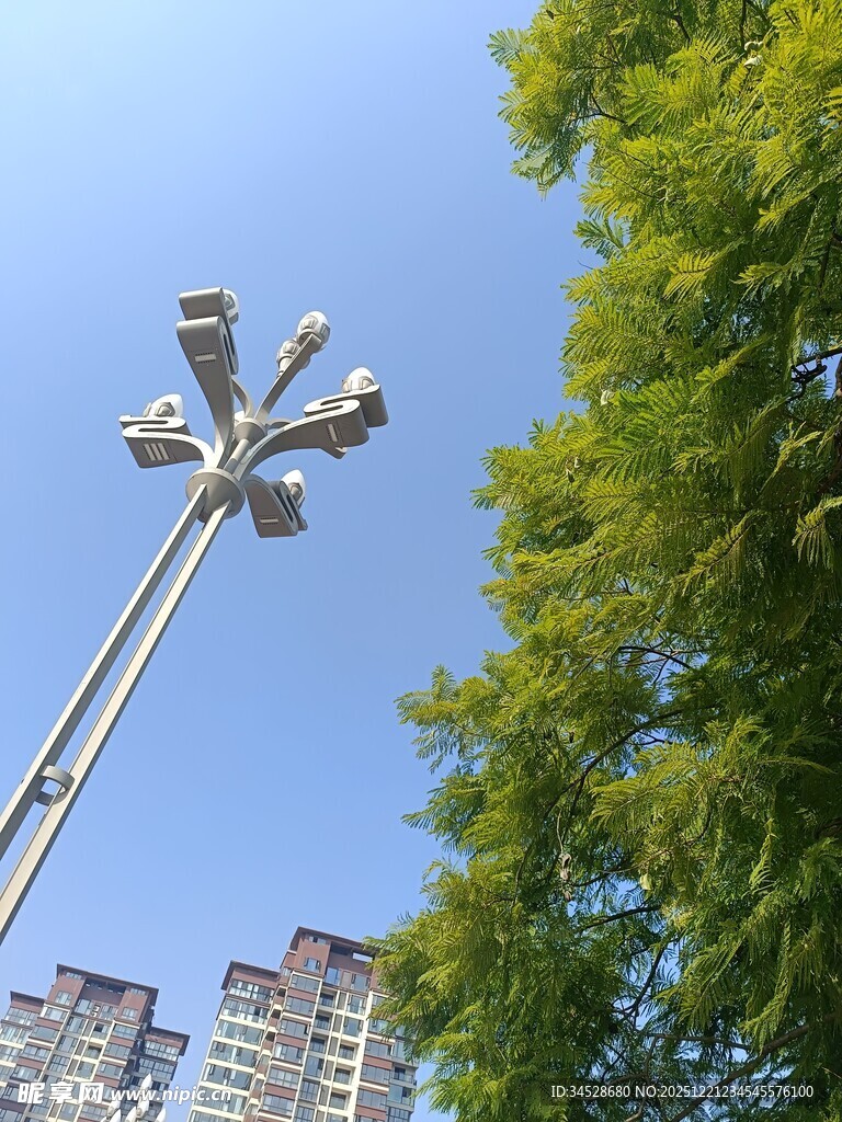 高耸路灯旁的葱郁绿树