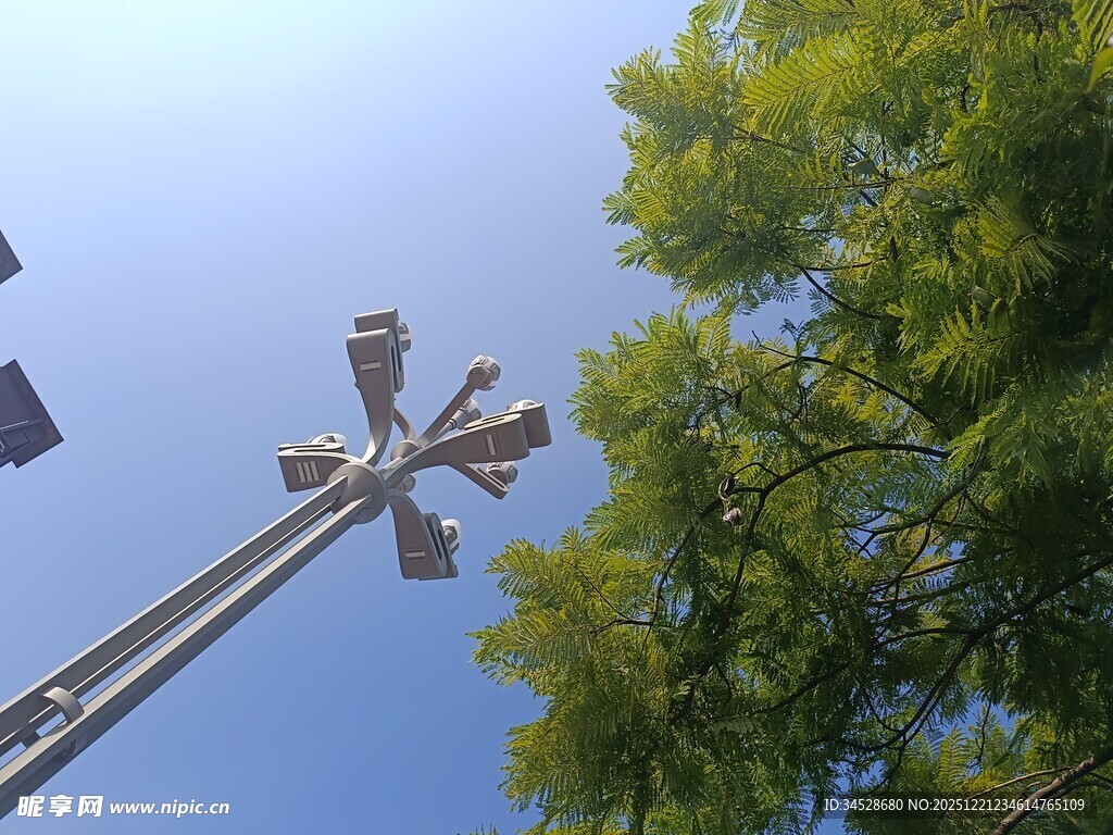 户外高杆灯与绿树蓝天