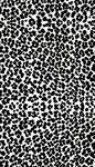 黑白斑点纹理图案