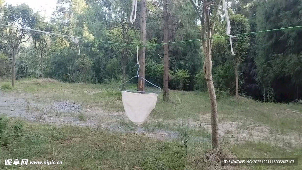 风中飘荡的内裤