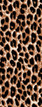 豹纹图案纹理背景