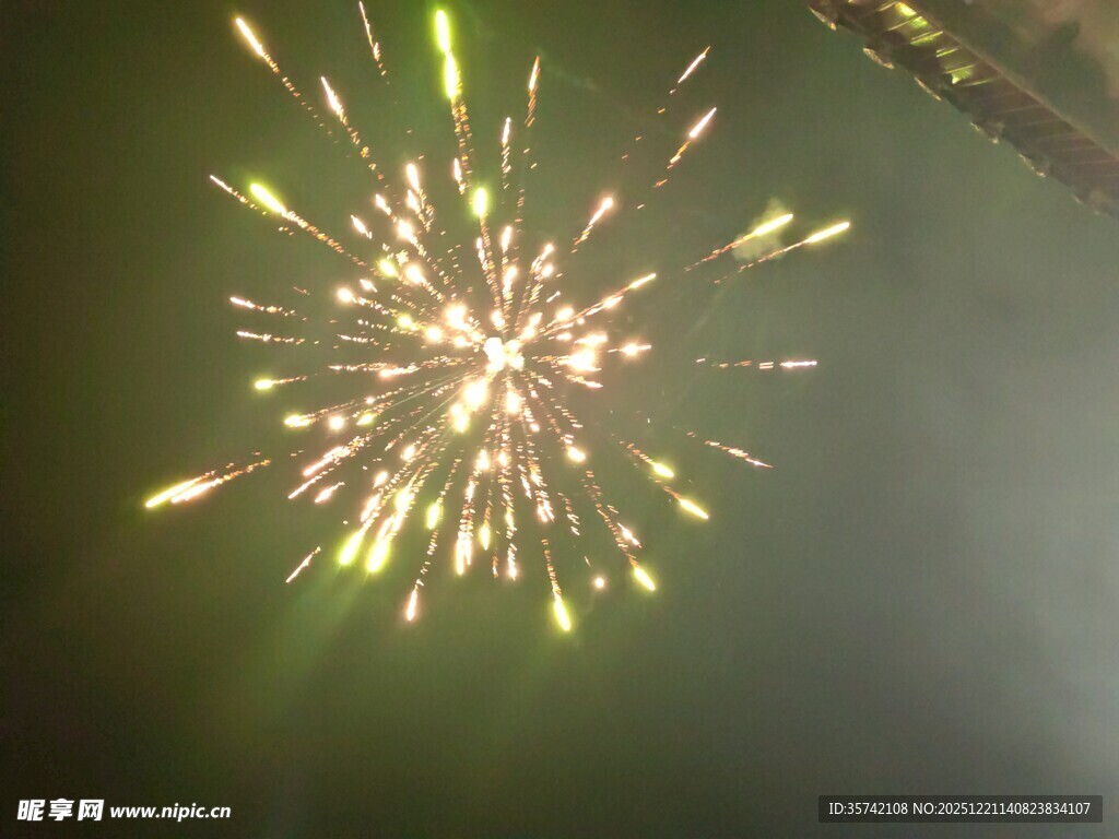 夜空中绚烂的烟花绽放