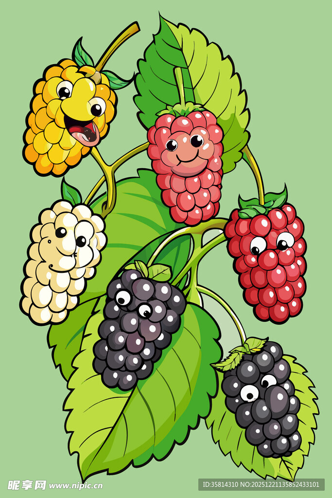 可爱多彩桑葚插画