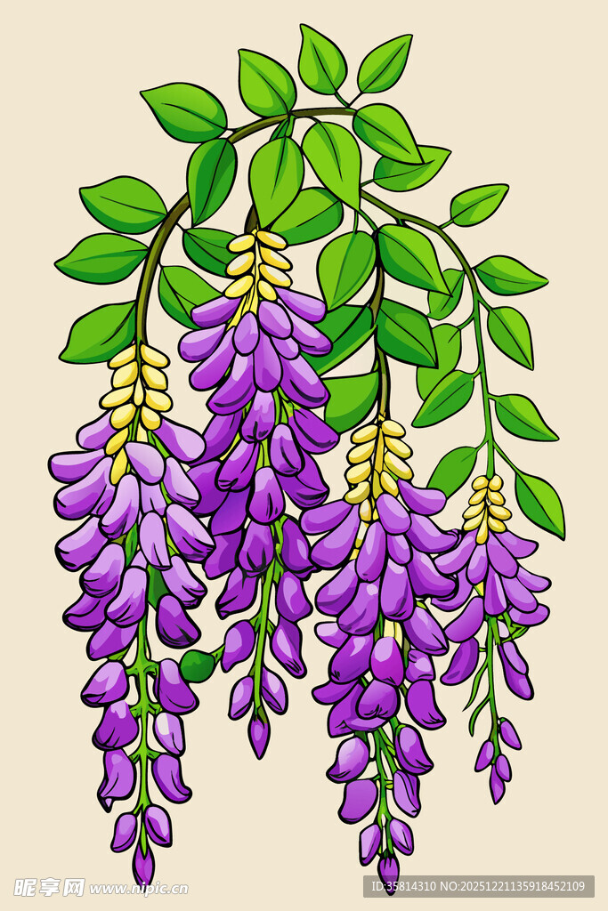 垂挂的紫色紫藤花