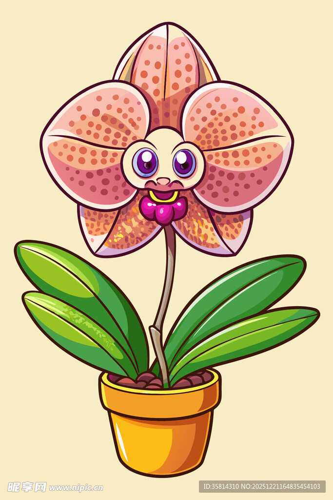 可爱卡通兰花盆栽