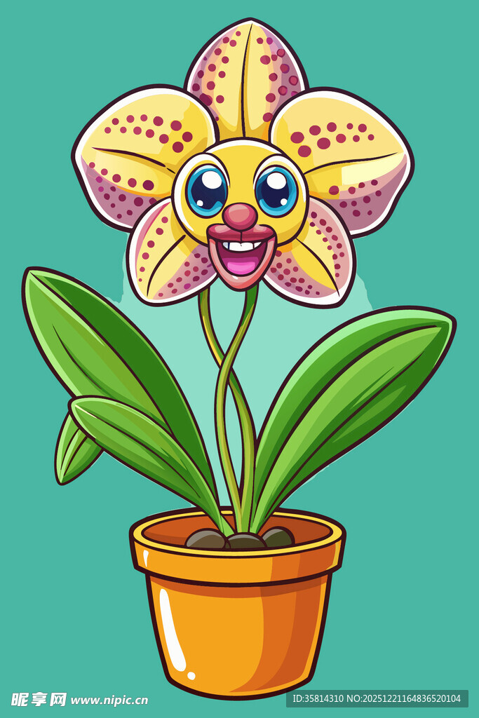 可爱卡通兰花盆栽