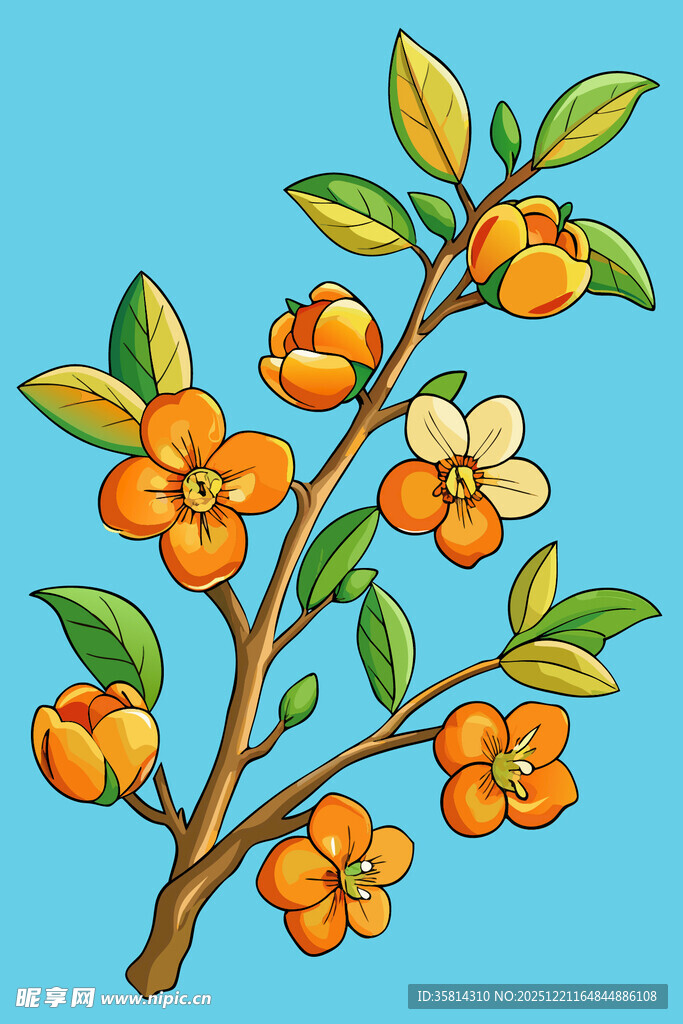 橙色花卉枝叶插画