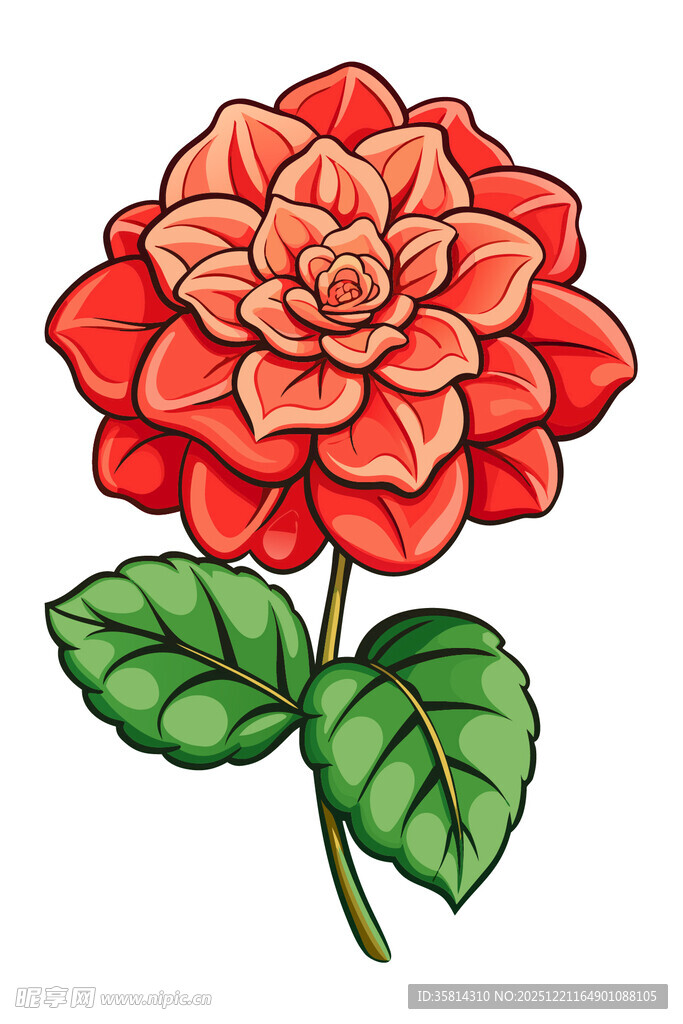 手绘红色花朵插画