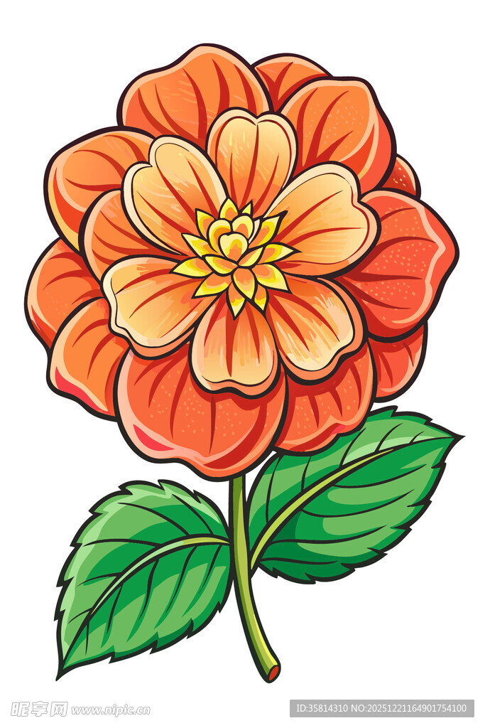 手绘橙色花朵插画