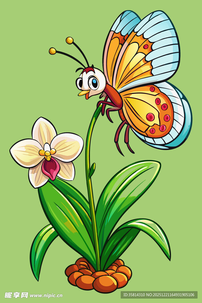 蝴蝶停留在花朵上