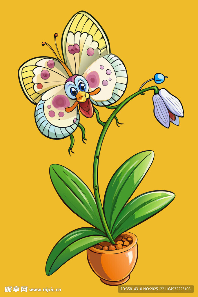 蝴蝶兰盆栽插画
