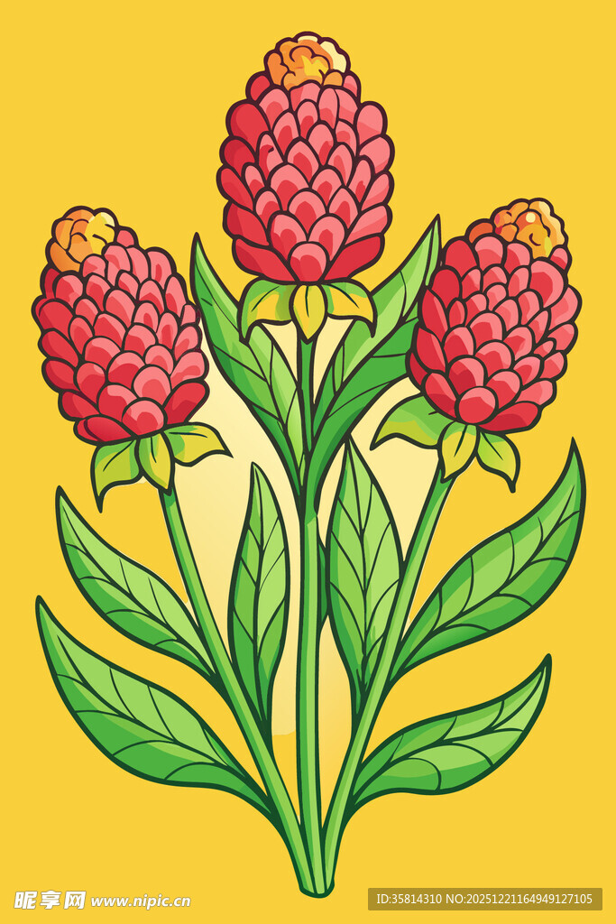 三朵红果植物插画