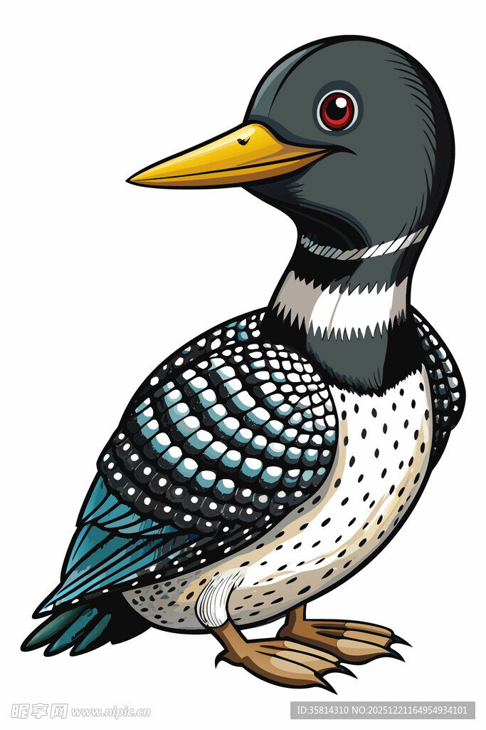 彩色啄木鸟插画