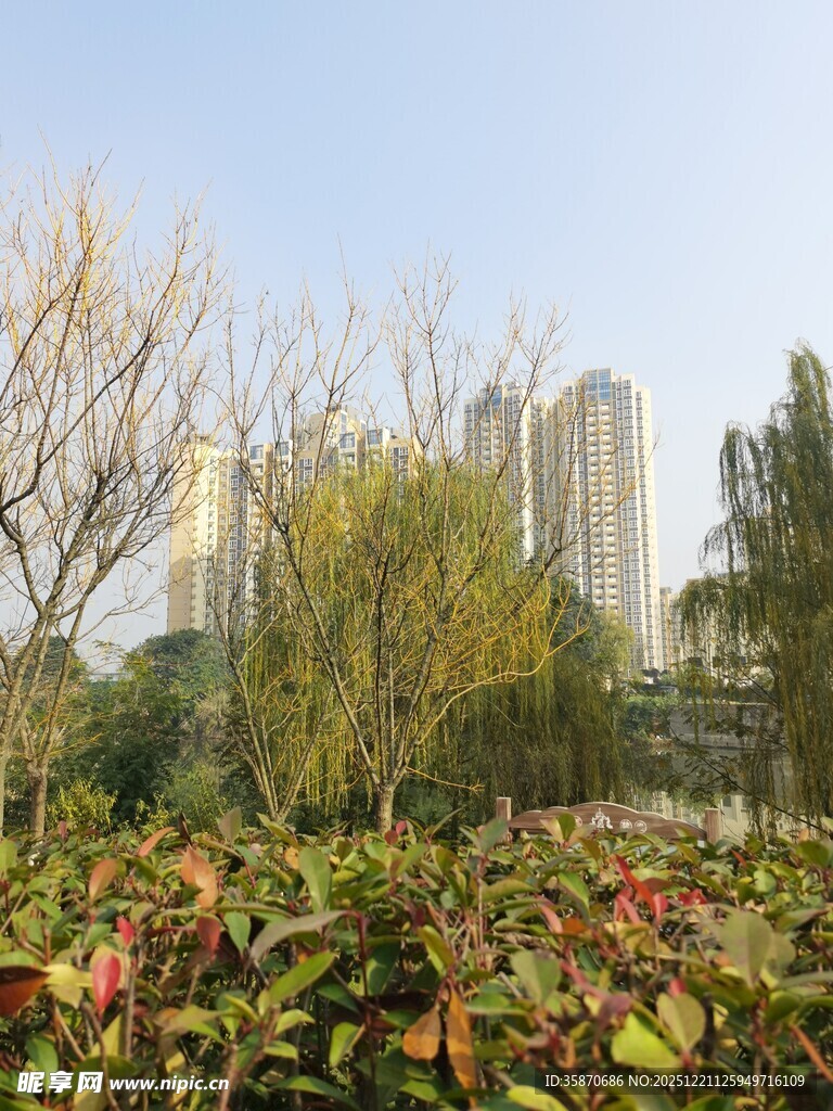 城市中繁花绿树的景致