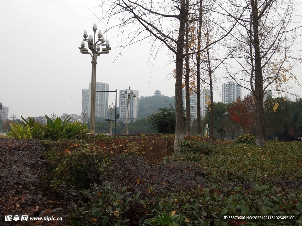 城市公园冬日景观