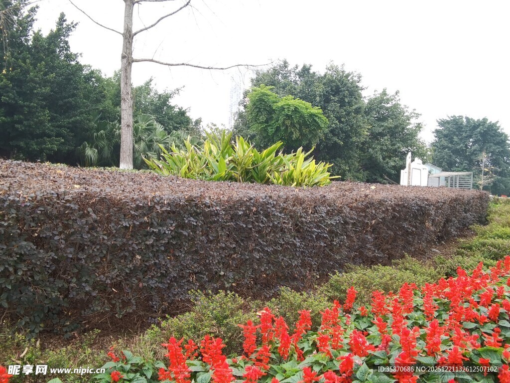 防护墙旁的绿植与警示标识