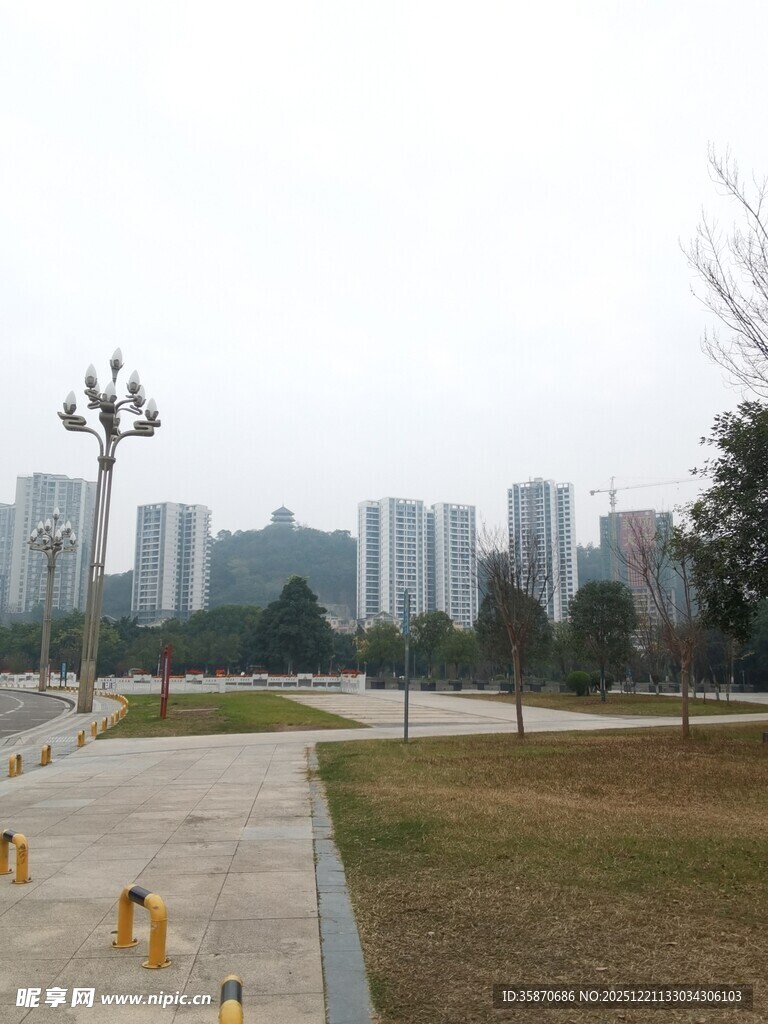 城市公园中的开阔景致