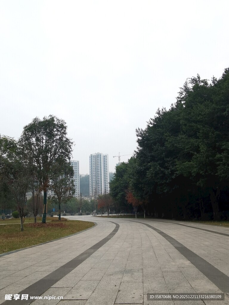 城市林间的宽阔步道