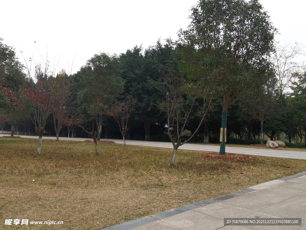 公园冬日开阔草地与步道