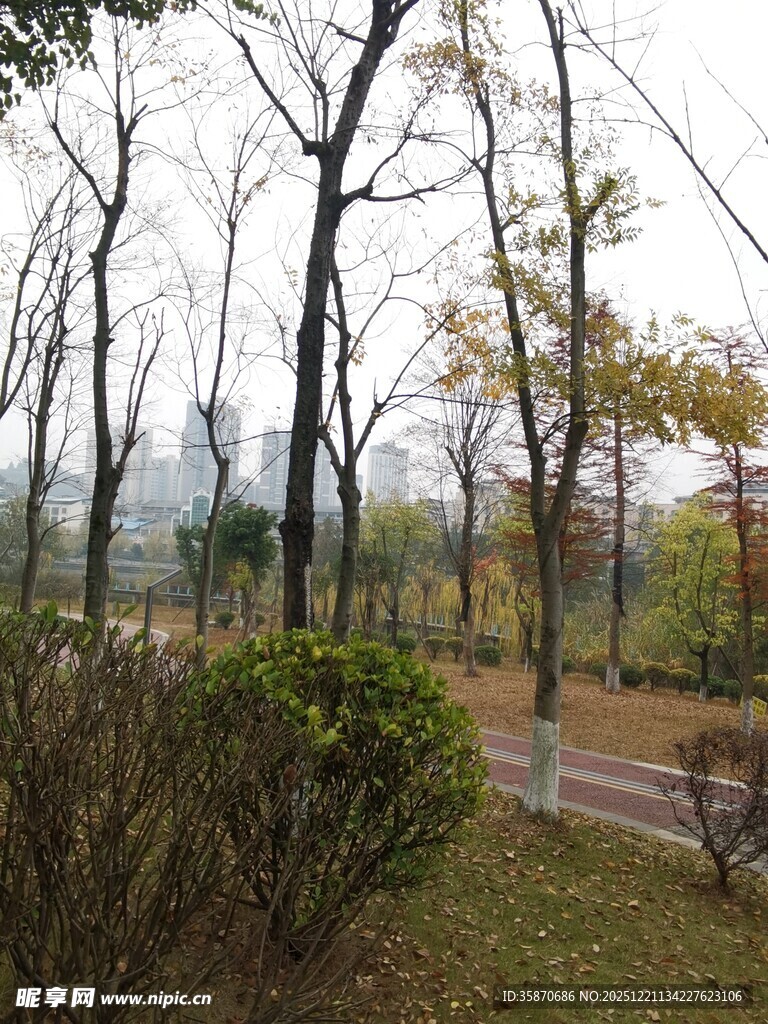 秋日林间小道景色