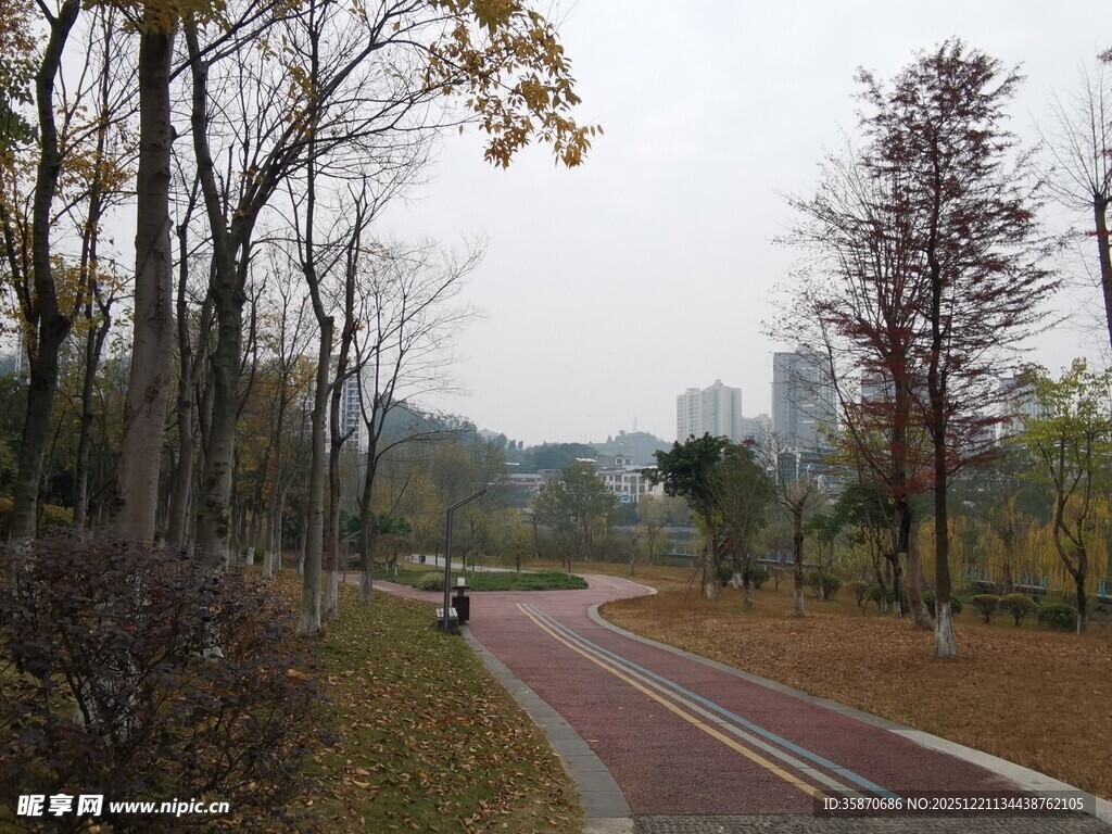 秋日林间的红色骑行步道