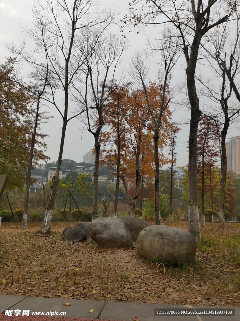 秋日公园林间石景