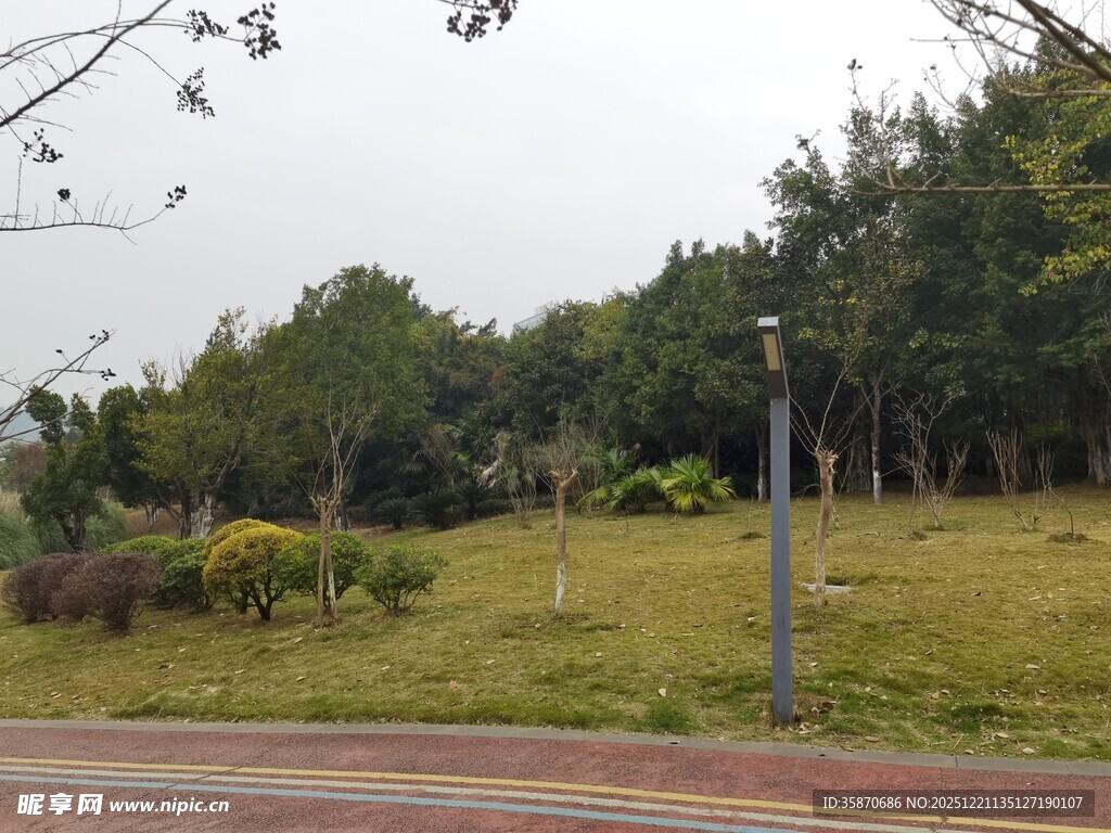 城市路边绿意盎然的景致