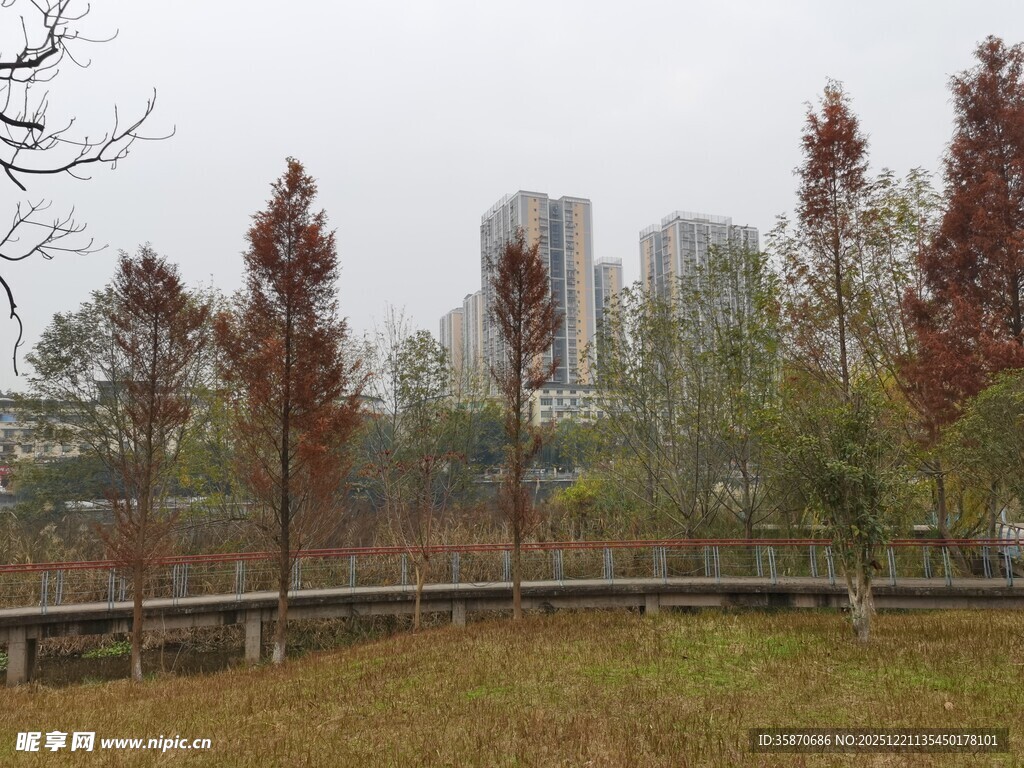 雾中城市边的多彩树木景观