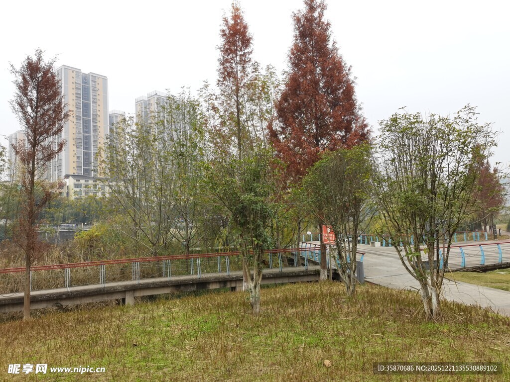 城市公园秋日景致