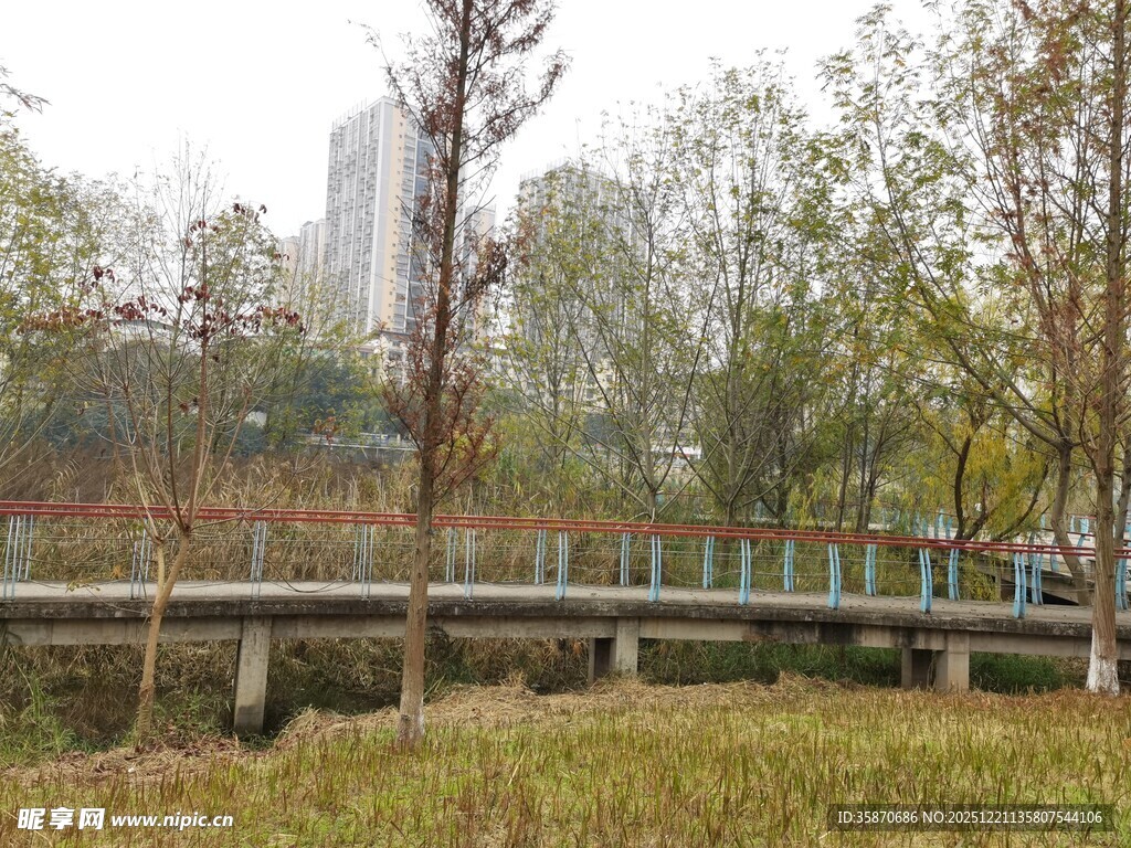 秋日公园中的石桥与树木