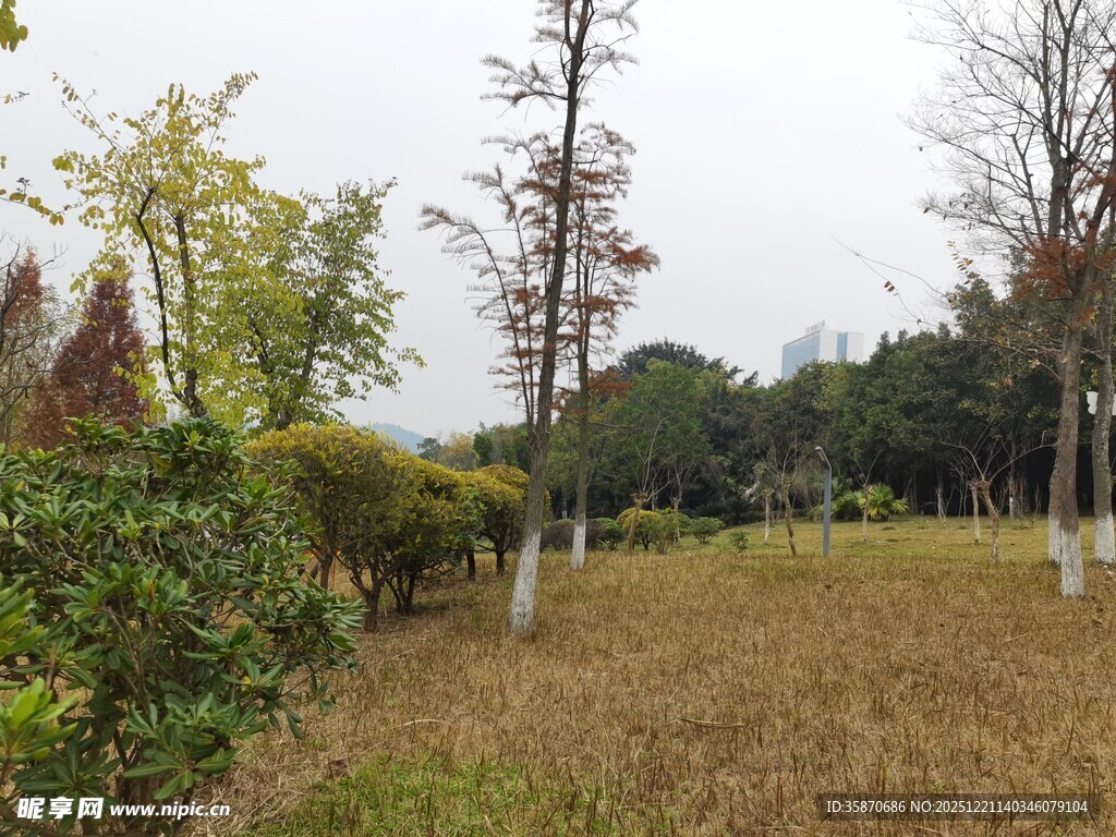 秋日郊野园林景色