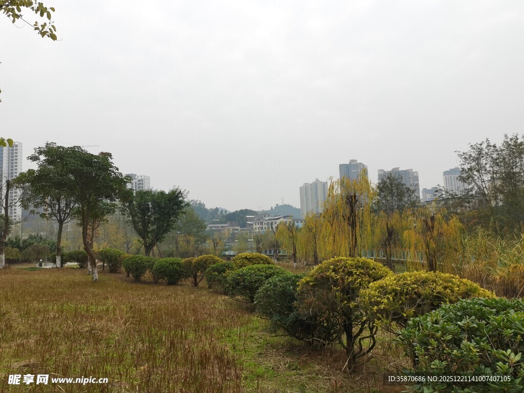 秋日郊野绿植景观