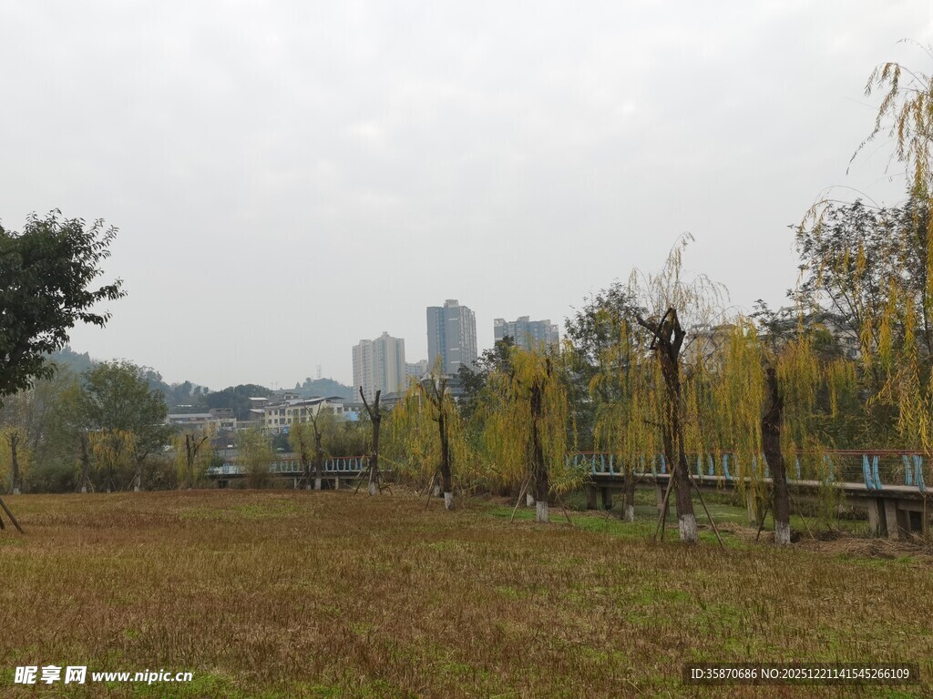 城郊草地与远处城市景观