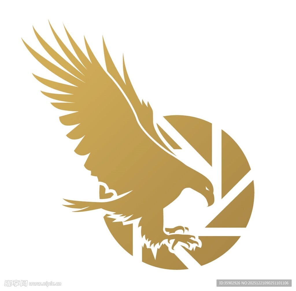 金色飞鹰摄影标志