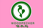 啄木鸟